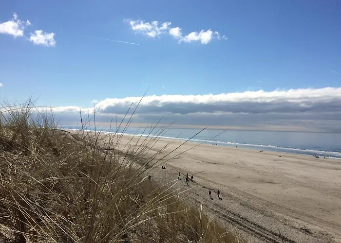 Tiny Pipowagen Koolmees