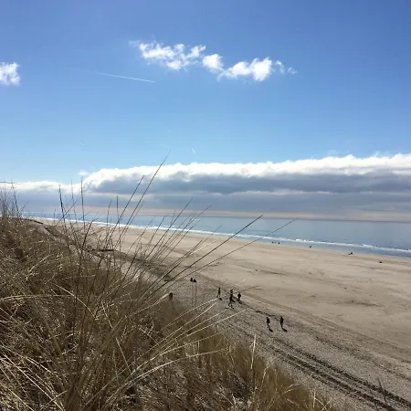 Tiny Pipowagen Koolmees