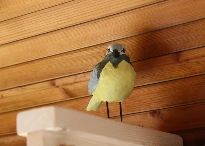 Tiny Pipowagen Koolmees * Oudesluis (North Holland)