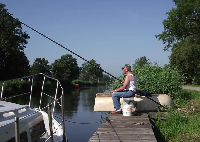 Campingplatz Tiny Pipowagen Koolmees *